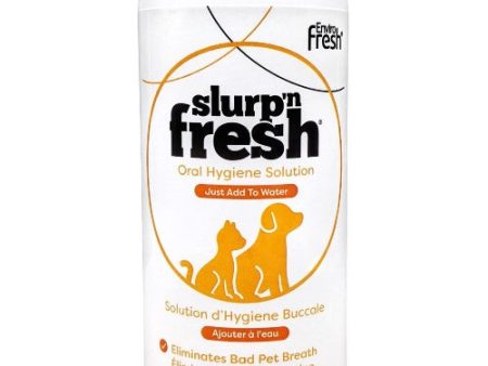 Envirofresh Slurp n Fresh formule extra fort pour chien sénior Sale