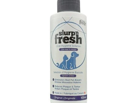 Envirofresh Slurp n Fresh formule originale pour chien Supply