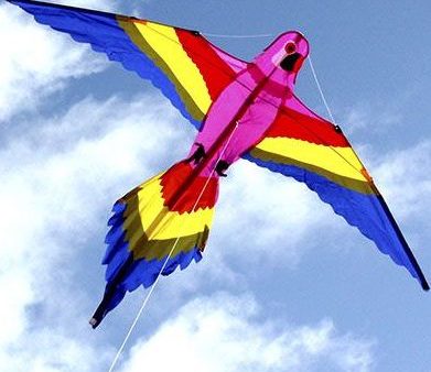 Lorikeet Kite Online Hot Sale