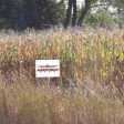 2  x 3  White Field Plot Signs For Sale