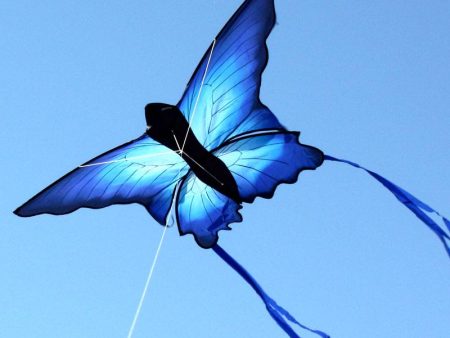 Ulysses Butterfly Kite Sale