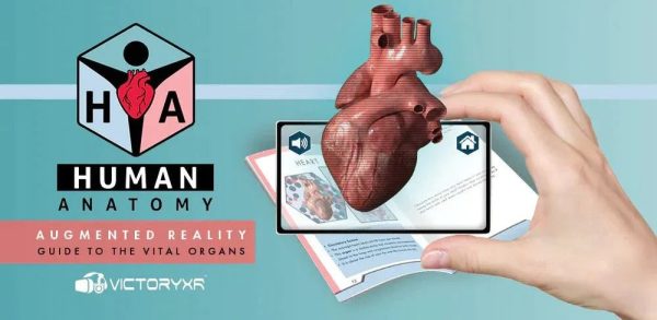 Human Anatomy Augmented Reality Bundle: Teacher Book + 25 Student Books + Torso Banner Online now