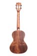 Kala Solid Acacia Tenor Ukulele KA-SA-T Online now