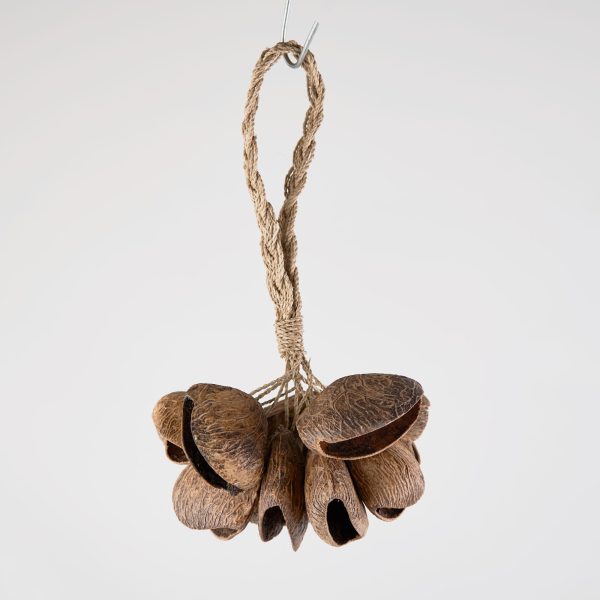 Juju Rattle - Large Seedpod Sale