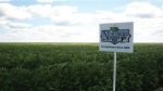 2  x 3  White Field Plot Signs For Sale