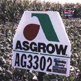 2  x 3  White Field Plot Signs For Sale