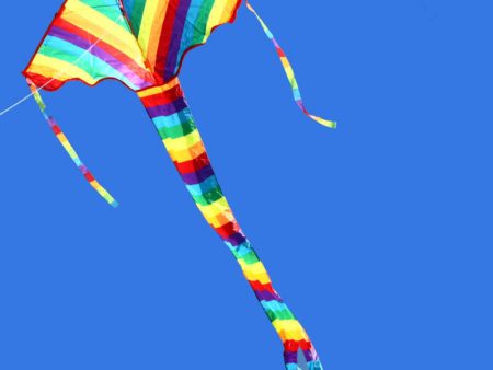 Rainbow Delta Kite Hot on Sale