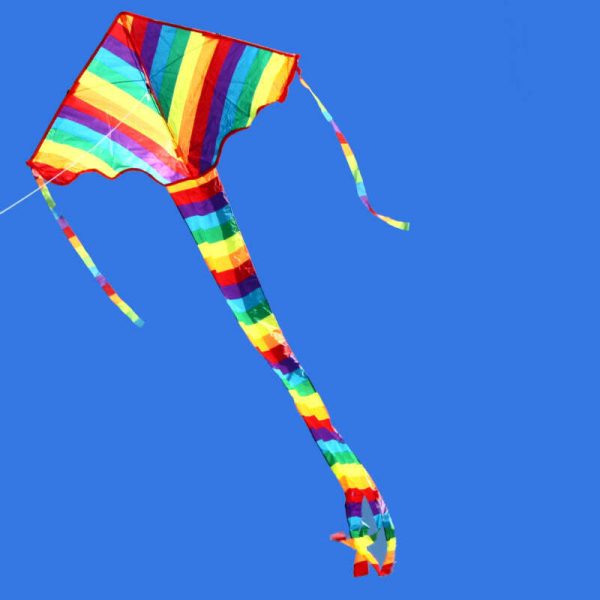 Rainbow Delta Kite Hot on Sale