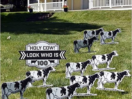 Holy Cow! Look Who is 100! Birthday Yard Card Online now