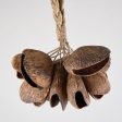 Juju Rattle - Large Seedpod Sale