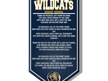 Custom School Fight Song Banners | Personalized Gym & Event Decor Online Sale