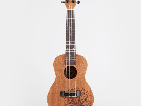 Kayu Tree Ukulele Y-03 For Sale