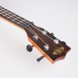 Kala Ziricote Ukulele Supply