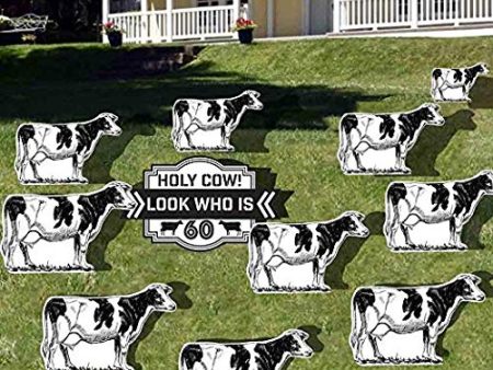 Holy Cow! Look Who is 60! Birthday Yard Card For Sale