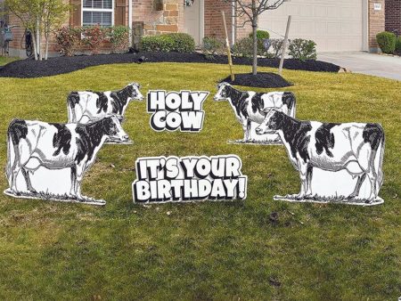 Holy Cow You Did It Yard Card Lawn Sign | 6pc Jumbo Quick Set Hot on Sale