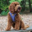 Hugo & Hudson Navy Stripe Dog Harness Supply