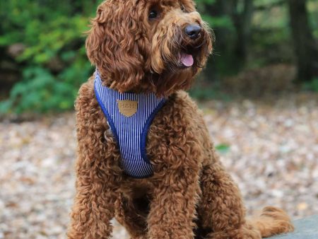 Hugo & Hudson Navy Stripe Dog Harness Supply