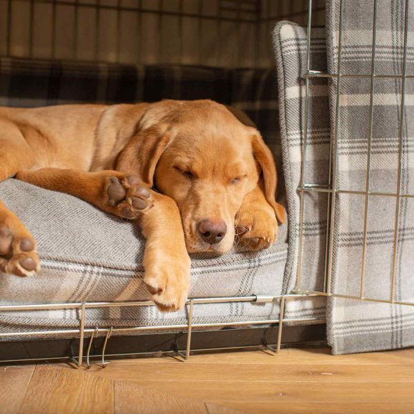 Dog Crate Set In Balmoral Dove Grey Tweed by Lords & Labradors For Cheap