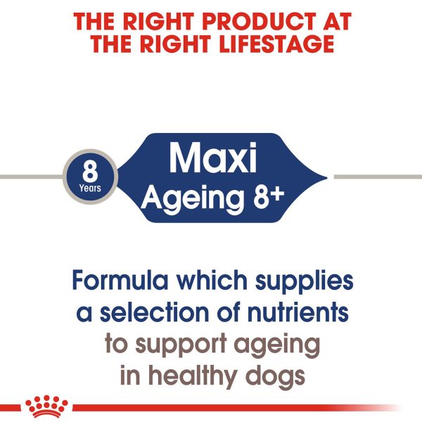 Royal Canin Maxi Ageing 8+ Wet Dog Food (Case of 10) Discount