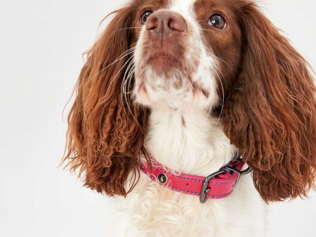 Joules Pink Leather Dog Collar Online Sale