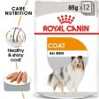 Royal Canin Coat Care Wet Adult Dog Food (Case of 12) Supply