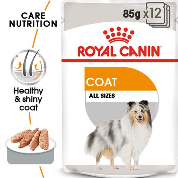 Royal Canin Coat Care Wet Adult Dog Food (Case of 12) Supply