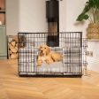 Dog Crate Bumper in Balmoral Dove Grey Tweed by Lords & Labradors on Sale