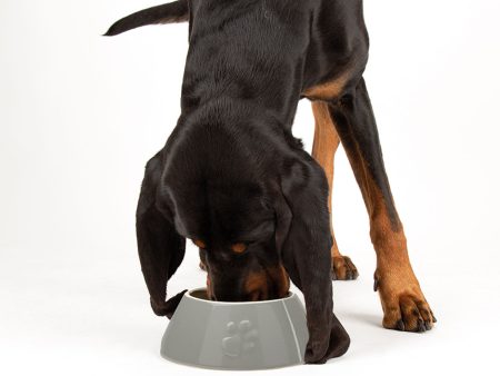 Scruffs Classic Long Eared Dog Bowl Hot on Sale