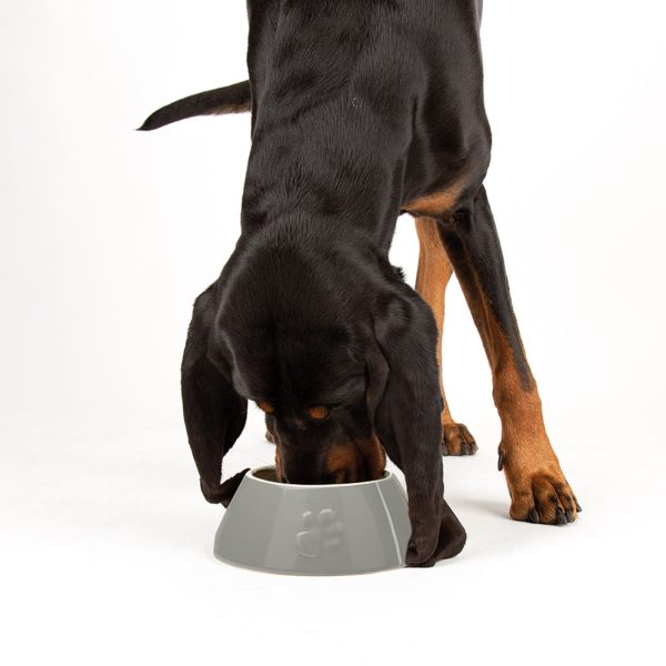 Scruffs Classic Long Eared Dog Bowl Hot on Sale