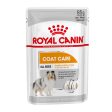 Royal Canin Coat Care Wet Adult Dog Food (Case of 12) Supply