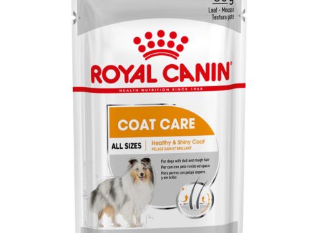 Royal Canin Coat Care Wet Adult Dog Food (Case of 12) Supply