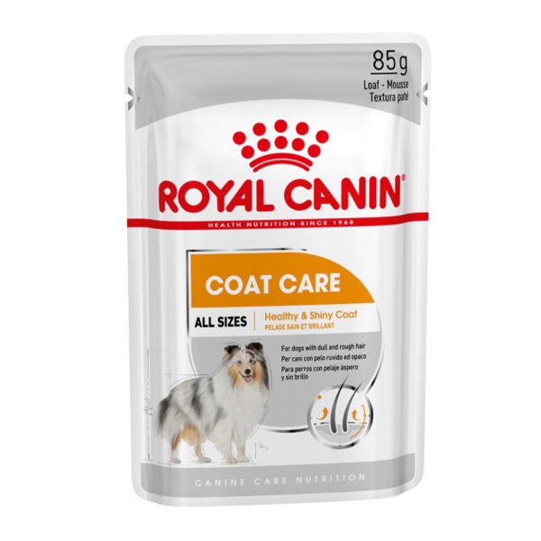 Royal Canin Coat Care Wet Adult Dog Food (Case of 12) Supply