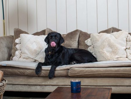 Sofa Topper in Herringbone Tweed by Lords & Labradors Supply