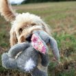 Mad About Pets Barkley Bunny For Discount