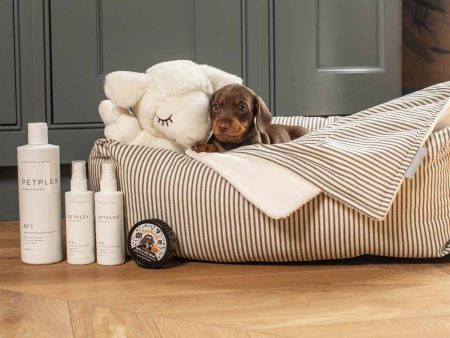 Puppy Bath & Bed Gift Set by Lords & Labradors on Sale