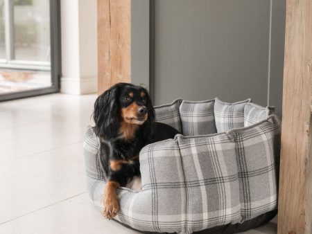 High Wall Bed With Removable Covers in Balmoral Dove Grey Tweed by Lords & Labradors Online now