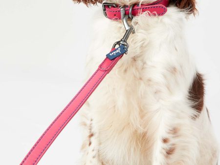 Joules Pink Leather Dog Lead For Sale