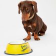 Joules Bone Appetit Dog Bowl Online Sale