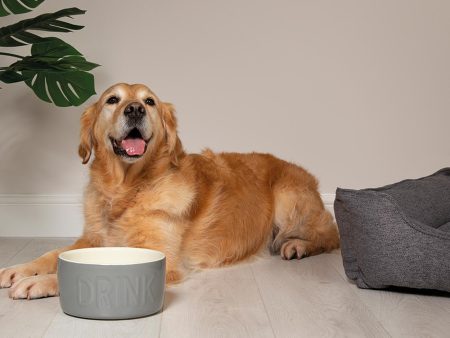 Scruffs Classic Water Bowl Cheap