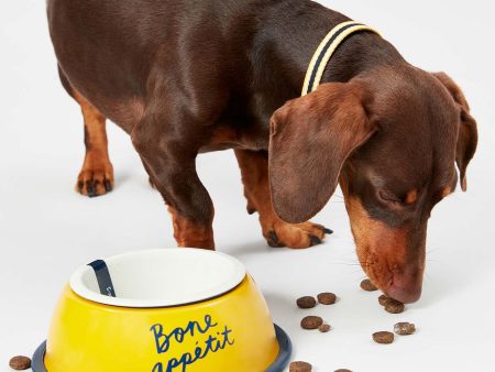 Joules Bone Appetit Dog Bowl Online Sale