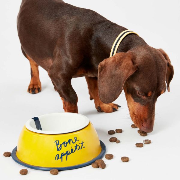 Joules Bone Appetit Dog Bowl Online Sale