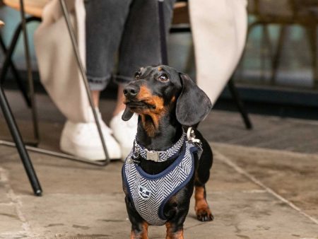 Hugo & Hudson Navy Herringbone Collar Hot on Sale