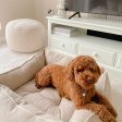 Box Bed With Removable Covers in Savanna Oatmeal by Lords & Labradors Discount