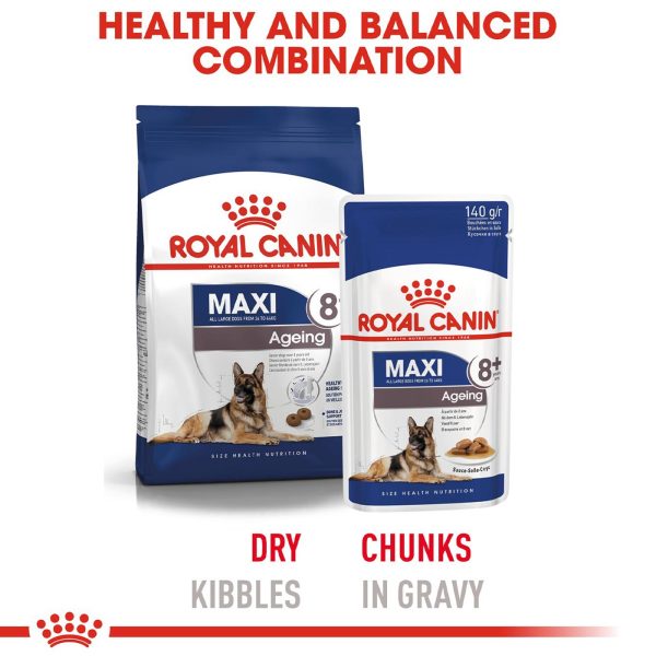 Royal Canin Maxi Ageing 8+ Wet Dog Food (Case of 10) Discount