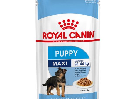 Royal Canin Puppy Maxi Breed Wet Dog Food (Case of 10) Supply