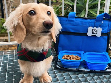 Mobile Dog Gear Week Away Bag In Blue For Cheap