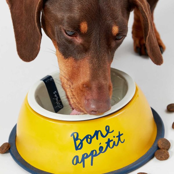 Joules Bone Appetit Dog Bowl Online Sale