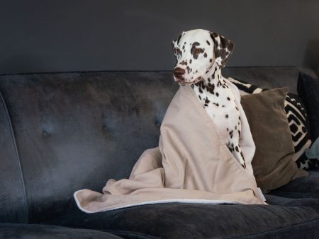 Dog & Puppy Blanket in Savanna Oatmeal by Lords & Labradors For Cheap