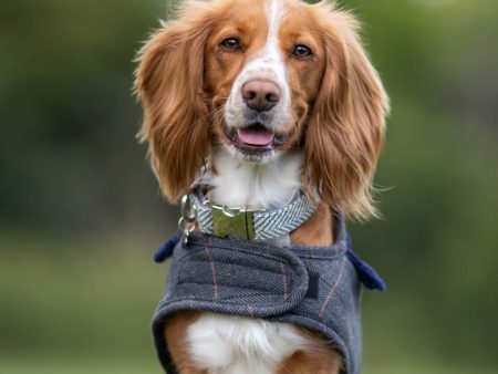 Hugo & Hudson Grey Herringbone Collar Fashion